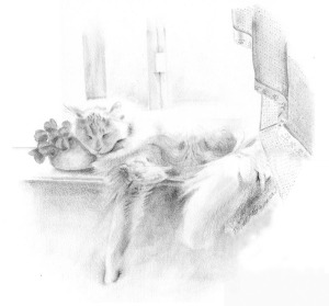 pencil drawing of cat sleeping on windowsill