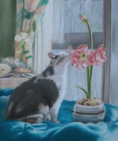painting of dilute calico with amaryllis