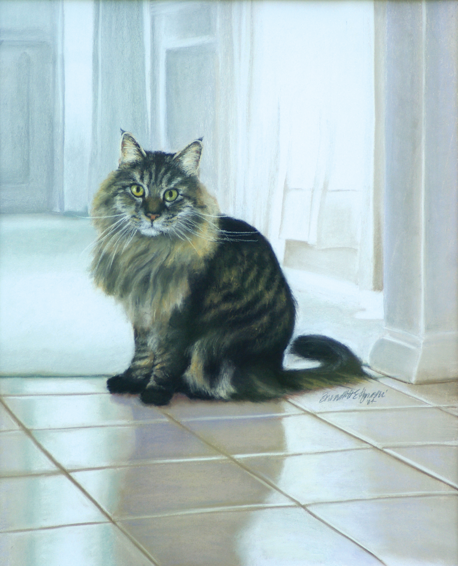 portrait of Maine Coon cat named Felix