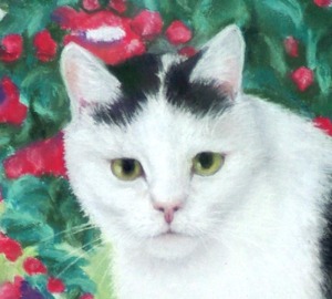 closeup of cat face in portrait