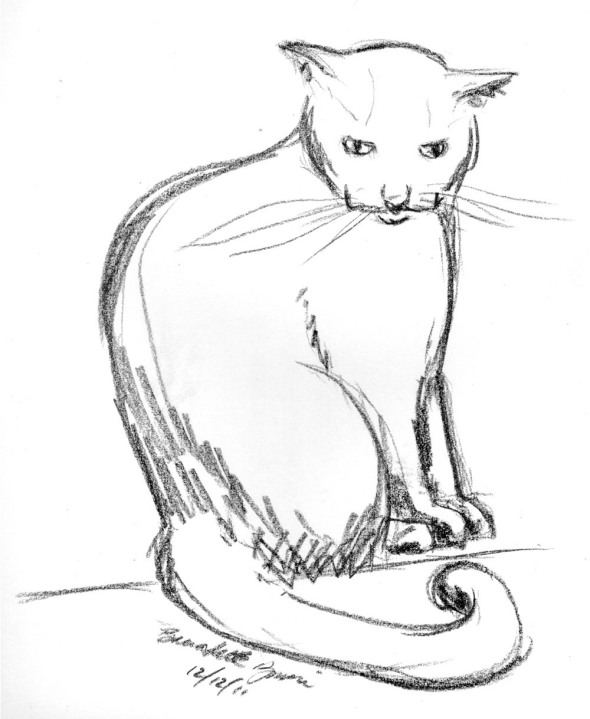 sketch of cat sitting
