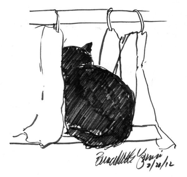 ink sketch of cat looking through curtain