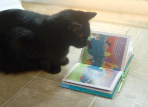 black cat reading forever paws
