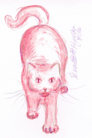 watercolor of cat stretching