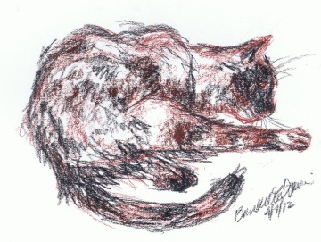 sketch of tortoiseshell cat washing her leg