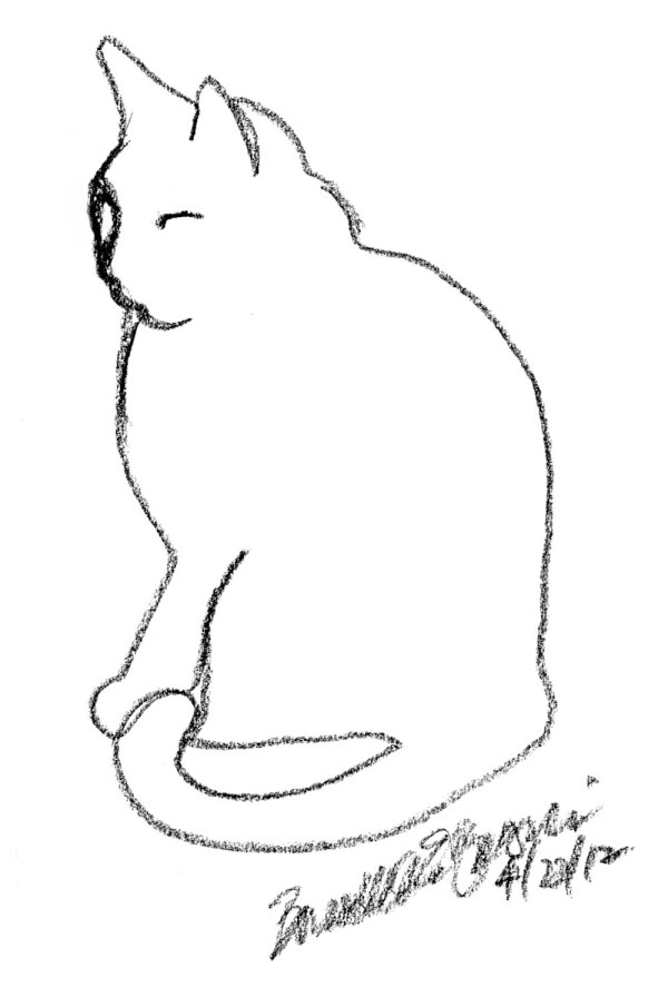 outline of cat