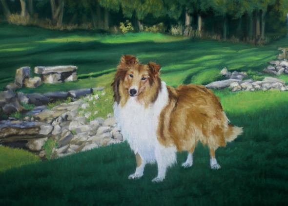 portrait of collie in park
