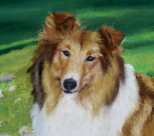 Lassie's face in detail.