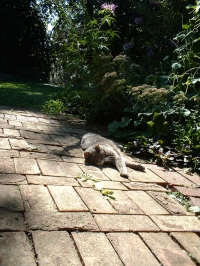 For Moses, the sun-warmed bricks were her treatment of choice for her arthritis.