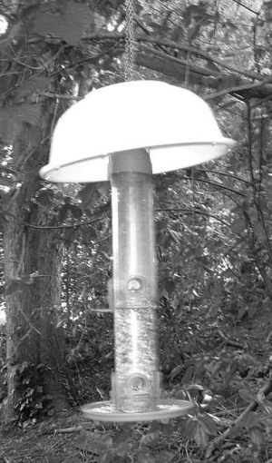 bird feeder with bowl cover and squirrel baffle