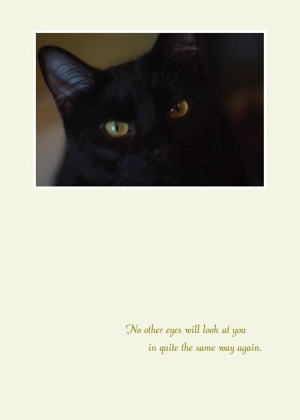 animal sympathy card