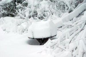 photo of heavy snow on picnic table