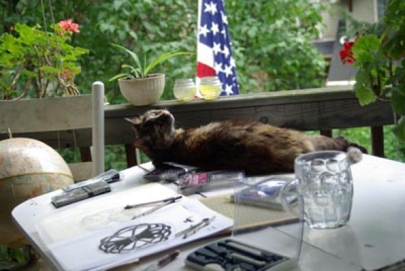 photo of cat on drawing table