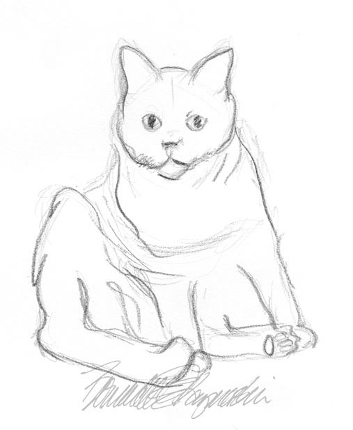 pencil sketch of cat sitting sideways