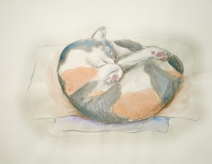 pencil and watercolor sketch of a cat sleeping