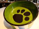 photo of green dog bowl