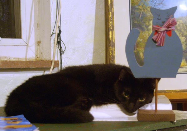 black cat with blue kitty figurine