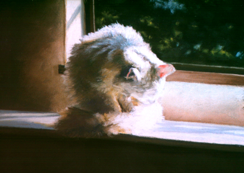 pastel painting of cat bathing