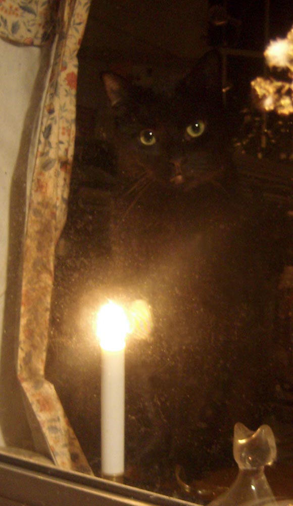 black cat at window with candelabra