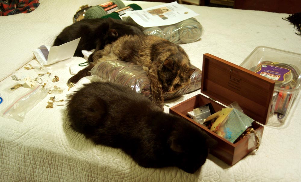 three cats with craft items