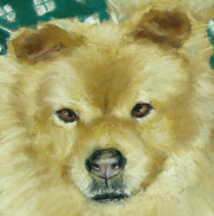 detail of dog's face