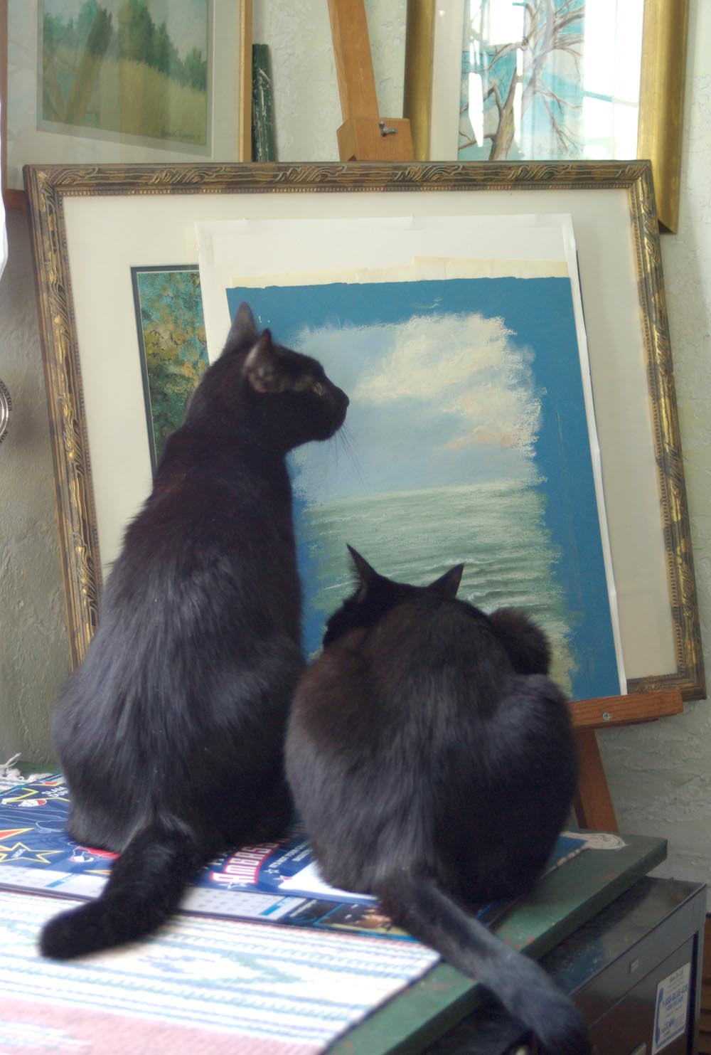 two black cats looking at painting