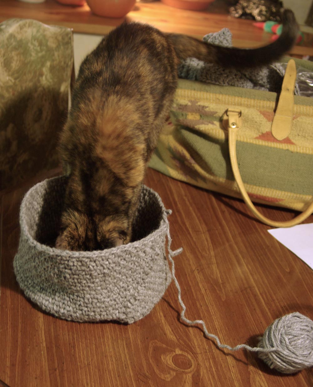 tortoiseshell cats test crocheted hat