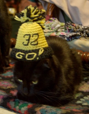 black cat wearing steelers hat