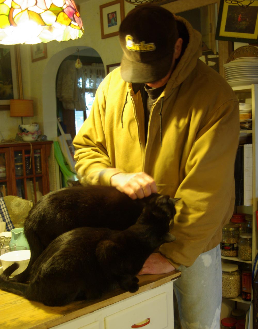 three black cats with one person