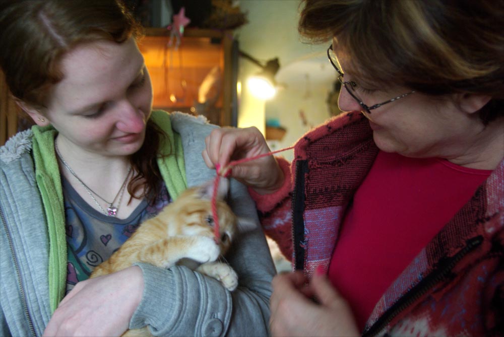 Orange kitten with new family