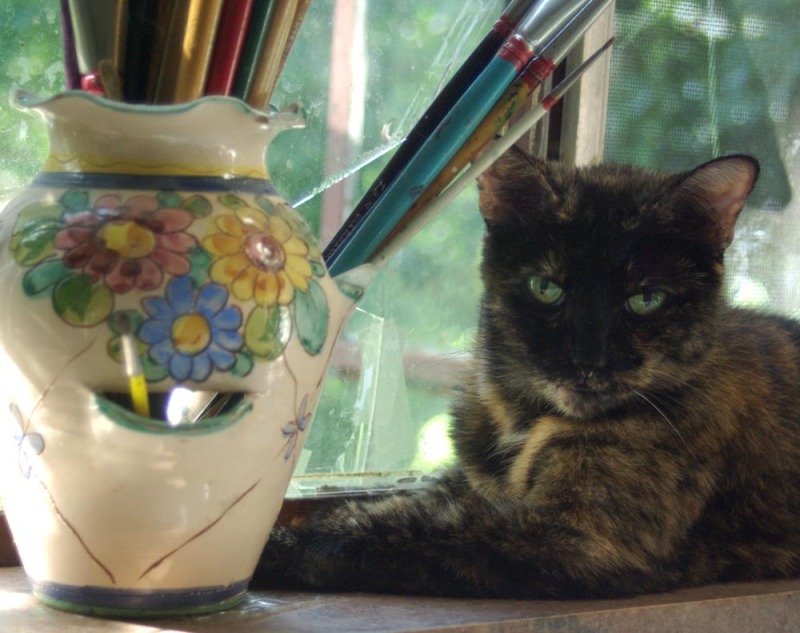 tortie cat with paintbrushes