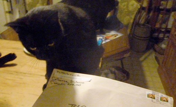 black cat with envelope