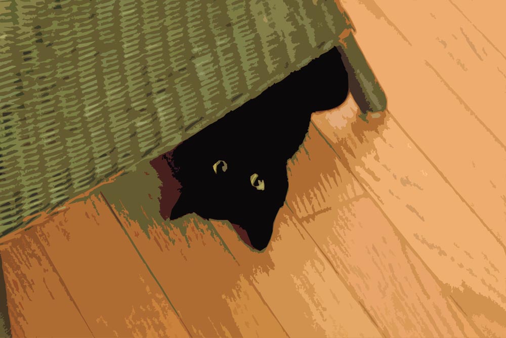 posterized image of black cat under chair