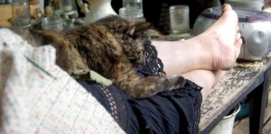 tortie cat on lap with crochet