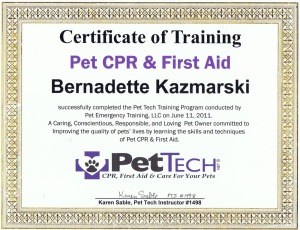 my pet certification