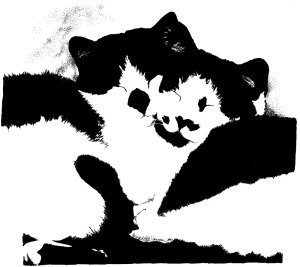 sketch of black and white kitties
