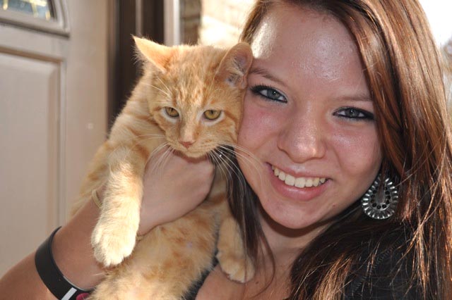 orange kitten with girl