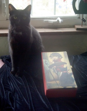 black cat with decorative box