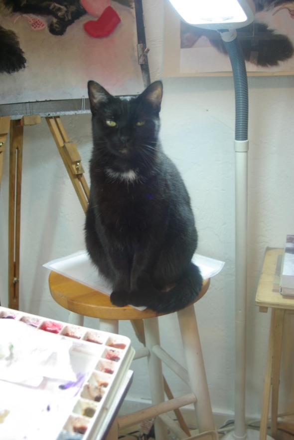 black cat on stool by easel
