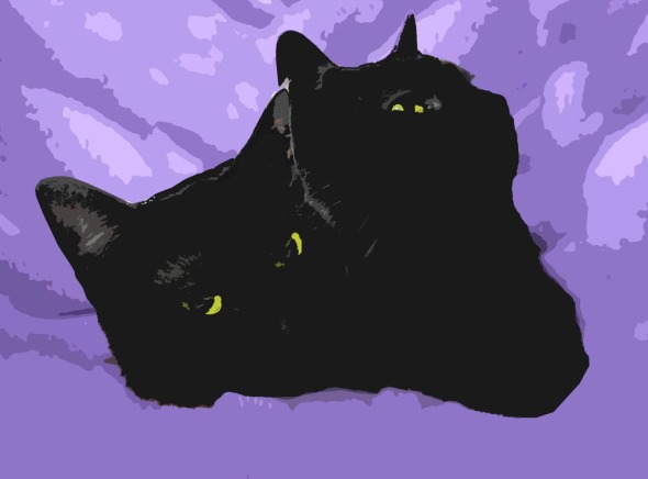 artwork of black cats on purple