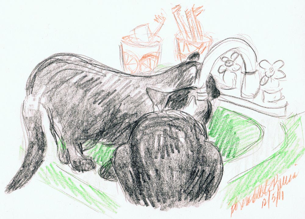 sketch of black cats at green sink