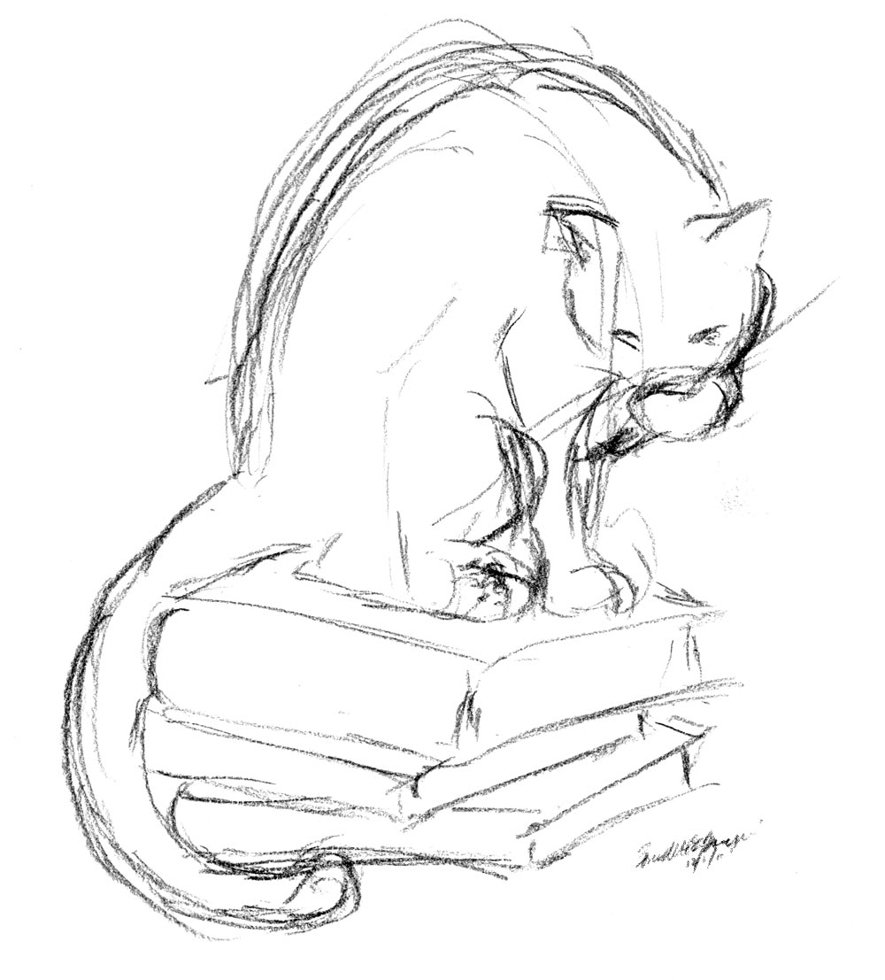 cat bathing on books