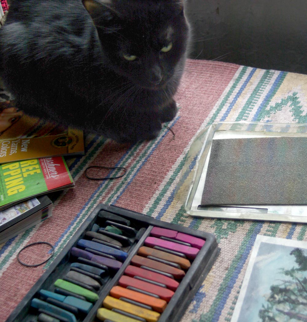 black cat looking at pastels
