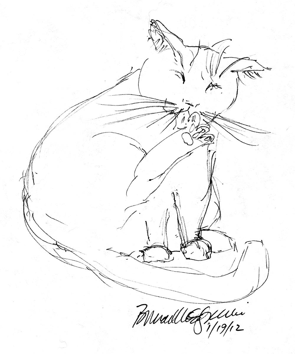 ink sketch of cat cleaning between toes