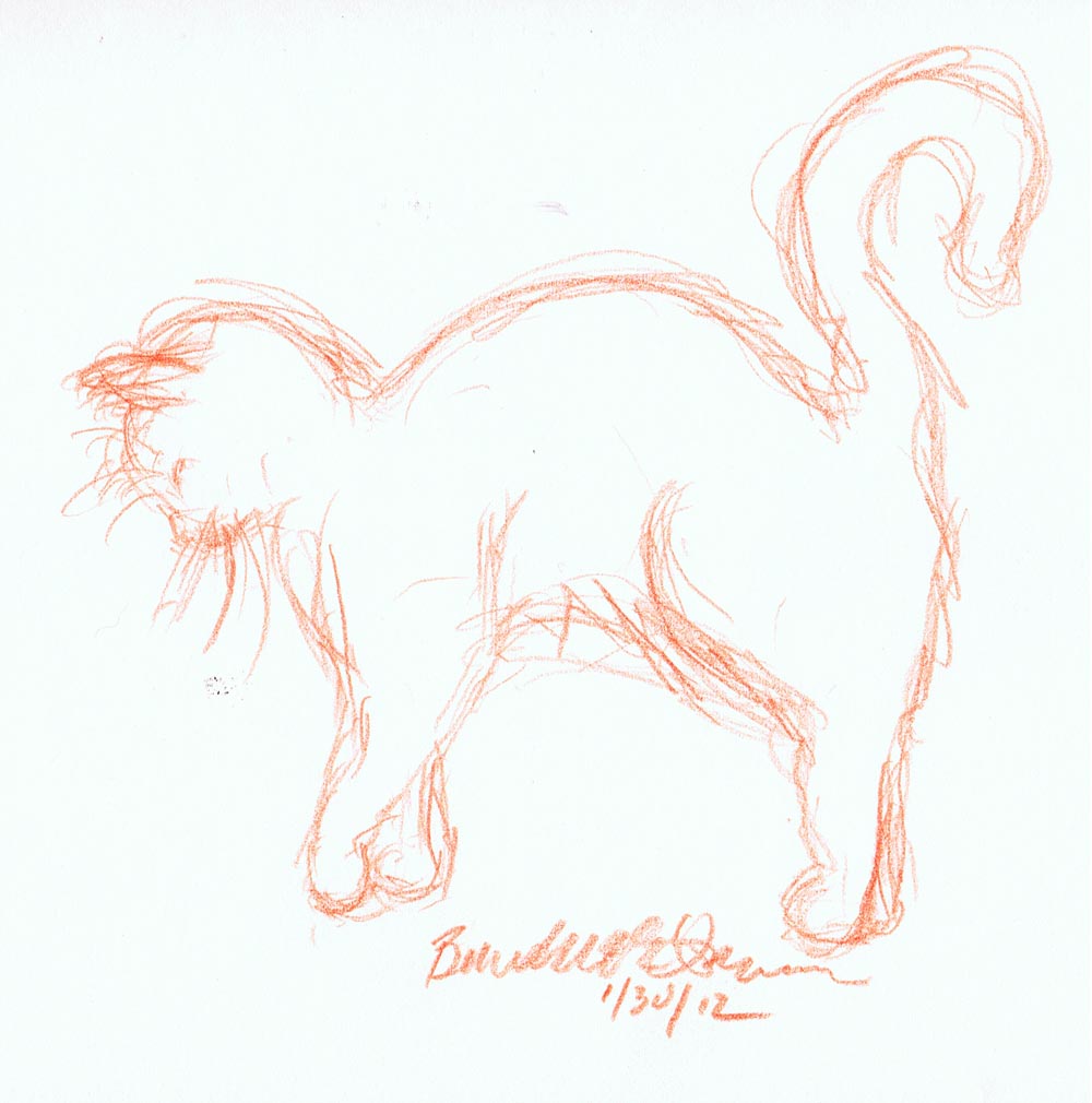 Sketch of cat stretching