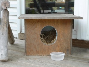 homemade outdoor cat shelter for feral cats and wildlife