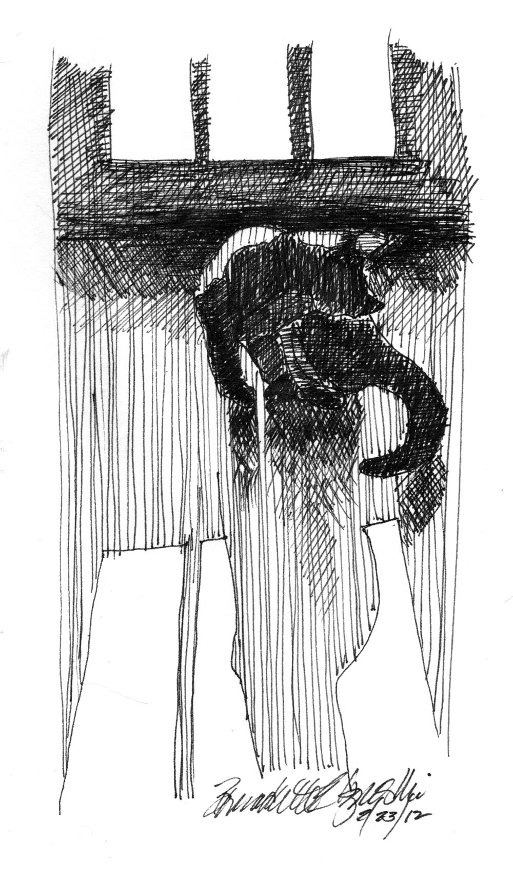 ink sketch of cat bathing in sun