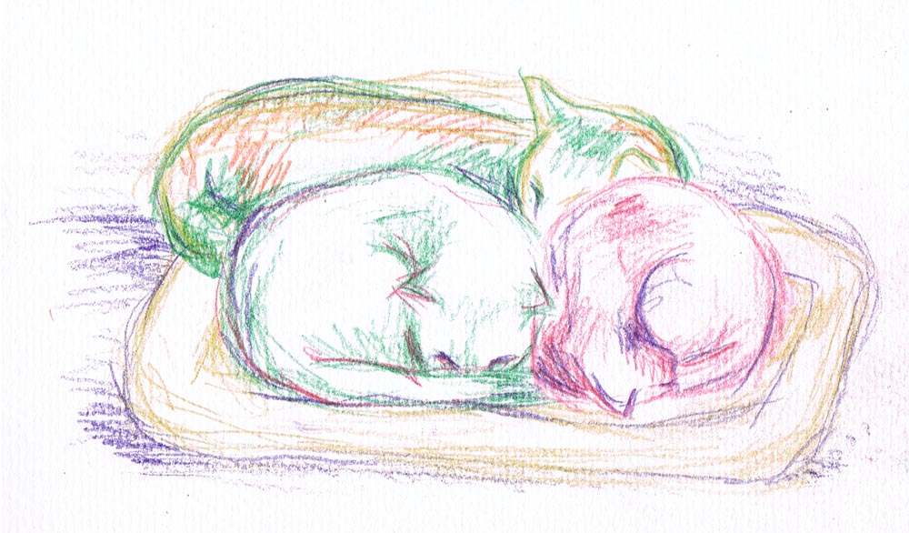 colored pencil sketch of three cats sleeping