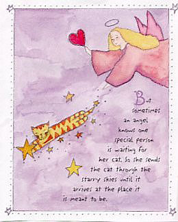 illustration from for every cat an angel