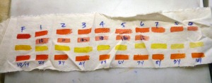 color swatches on cloth